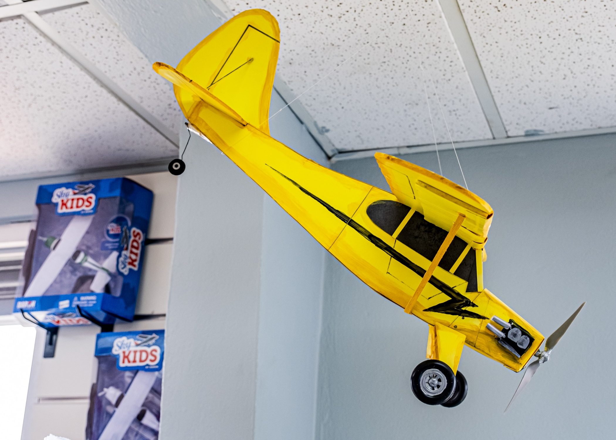 Instrumentación y Equipos: